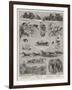 Sketches at Barnum's Show at Olympia-null-Framed Giclee Print