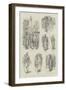 Sketches at Beyrout and Damascus-William Douglas Almond-Framed Premium Giclee Print