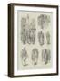 Sketches at Beyrout and Damascus-William Douglas Almond-Framed Giclee Print