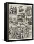 Sketches at Henley Regatta-John Charlton-Framed Stretched Canvas