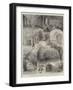 Sketches at Longleat, the Seat of the Marquis of Bath, Visited by the Prince and Princess of Wales-null-Framed Giclee Print
