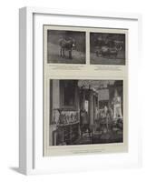 Sketches at Osborne-null-Framed Giclee Print