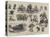 Sketches at Sandown Park Races-Frank Dadd-Stretched Canvas