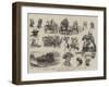 Sketches at Sandown Park Races-Frank Dadd-Framed Giclee Print