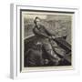 Sketches at Sea, Slack the Main Sheet-Hamilton Macallum-Framed Giclee Print