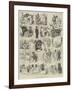 Sketches at the Birmingham Fat Cattle Show-Alfred Courbould-Framed Giclee Print