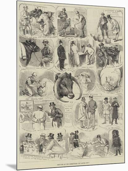 Sketches at the Birmingham Fat Cattle Show-Alfred Courbould-Mounted Giclee Print