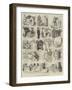 Sketches at the Birmingham Fat Cattle Show-Alfred Courbould-Framed Giclee Print