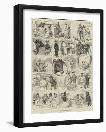 Sketches at the Birmingham Fat Cattle Show-Alfred Courbould-Framed Giclee Print