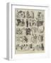 Sketches at the Birmingham Fat Cattle Show-Alfred Courbould-Framed Giclee Print