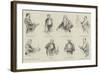 Sketches at the Conversazione of the Royal Society, 8 May-null-Framed Giclee Print