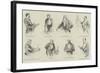 Sketches at the Conversazione of the Royal Society, 8 May-null-Framed Giclee Print