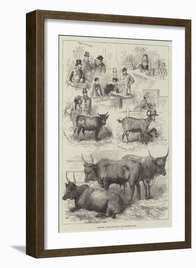 Sketches at the Dairy Show-null-Framed Giclee Print