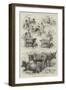 Sketches at the Dairy Show-null-Framed Giclee Print