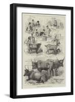 Sketches at the Dairy Show-null-Framed Giclee Print