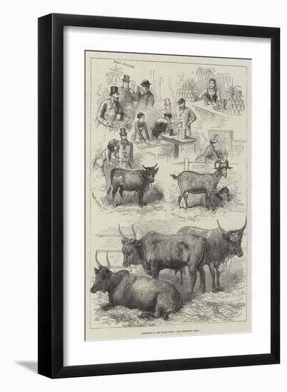 Sketches at the Dairy Show-null-Framed Giclee Print