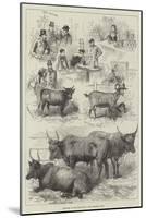 Sketches at the Dairy Show-null-Mounted Giclee Print