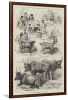 Sketches at the Dairy Show-null-Framed Giclee Print