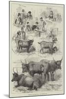 Sketches at the Dairy Show-null-Mounted Giclee Print