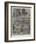 Sketches at the Dogs' Home, Battersea-Stanley Berkeley-Framed Giclee Print