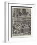 Sketches at the Dogs' Home, Battersea-Stanley Berkeley-Framed Giclee Print