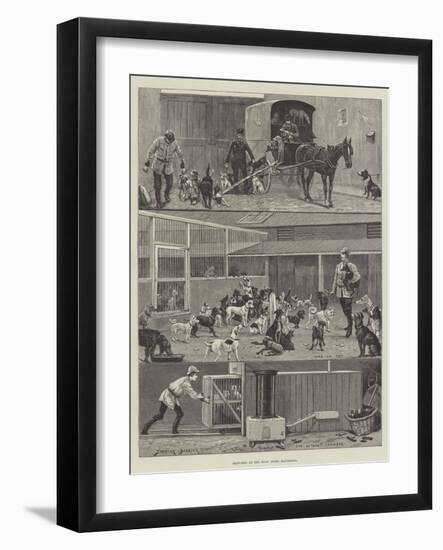 Sketches at the Dogs' Home, Battersea-Stanley Berkeley-Framed Giclee Print