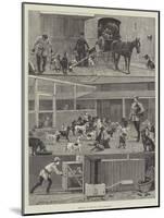 Sketches at the Dogs' Home, Battersea-Stanley Berkeley-Mounted Giclee Print