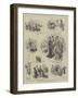 Sketches at the Goat Show at Alexandra Palace-John Jellicoe-Framed Giclee Print