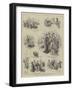 Sketches at the Goat Show at Alexandra Palace-John Jellicoe-Framed Giclee Print