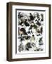 Sketches at the International Chess Tournament, May 5, 1883-Corbould-Framed Giclee Print