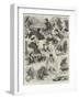 Sketches at the International Chess Tournament-Alfred Courbould-Framed Giclee Print