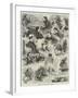 Sketches at the International Chess Tournament-Alfred Courbould-Framed Giclee Print