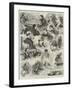 Sketches at the International Chess Tournament-Alfred Courbould-Framed Giclee Print