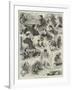 Sketches at the International Chess Tournament-Alfred Courbould-Framed Giclee Print