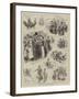 Sketches at the Islington Dairy Show-John Jellicoe-Framed Giclee Print