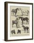 Sketches at the Islington Horse Show-Alfred Chantrey Corbould-Framed Giclee Print