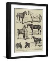 Sketches at the Islington Horse Show-Alfred Chantrey Corbould-Framed Giclee Print