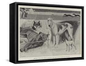 Sketches at the Ladies' Kennel Association's First Show, at the Ranelagh Club, Barn Elms-Cecil Aldin-Framed Stretched Canvas