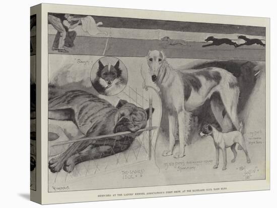 Sketches at the Ladies' Kennel Association's First Show, at the Ranelagh Club, Barn Elms-Cecil Aldin-Stretched Canvas