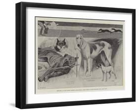 Sketches at the Ladies' Kennel Association's First Show, at the Ranelagh Club, Barn Elms-Cecil Aldin-Framed Giclee Print