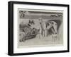 Sketches at the Ladies' Kennel Association's First Show, at the Ranelagh Club, Barn Elms-Cecil Aldin-Framed Giclee Print