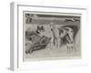 Sketches at the Ladies' Kennel Association's First Show, at the Ranelagh Club, Barn Elms-Cecil Aldin-Framed Giclee Print