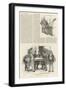 Sketches at the London Coal Exchange-William Douglas Almond-Framed Premium Giclee Print
