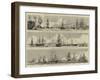 Sketches at the Naval Review at Spithead-William Edward Atkins-Framed Giclee Print