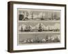 Sketches at the Naval Review at Spithead-William Edward Atkins-Framed Giclee Print