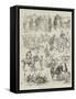 Sketches at the Polo Pony Race at Hurlingham-Alfred Courbould-Framed Stretched Canvas