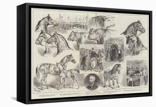 Sketches at the Royal Agricultural Society's Meeting at Norwich-Samuel John Carter-Framed Stretched Canvas