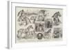 Sketches at the Royal Agricultural Society's Meeting at Norwich-Samuel John Carter-Framed Giclee Print