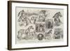 Sketches at the Royal Agricultural Society's Meeting at Norwich-Samuel John Carter-Framed Giclee Print