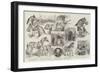 Sketches at the Royal Agricultural Society's Meeting at Norwich-Samuel John Carter-Framed Giclee Print